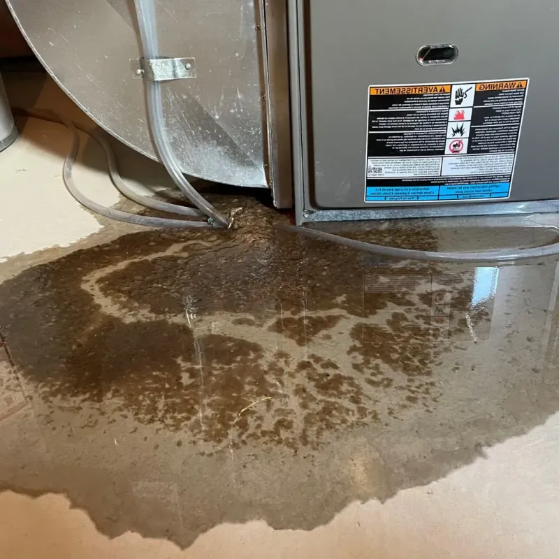 Pipe Burst and Leak Restoration in Sedona, AZ
